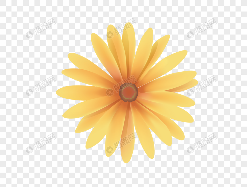 860x650 Elements Of Yellow Chrysanthemum Vector Map Png Image Picture Free