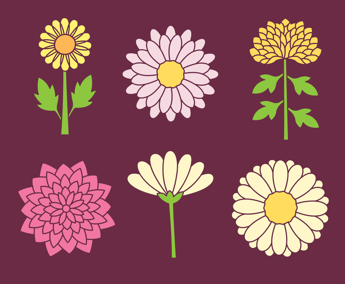 1136x936 Chrysanthemum Flowers Collection Vector Vector Art Graphics