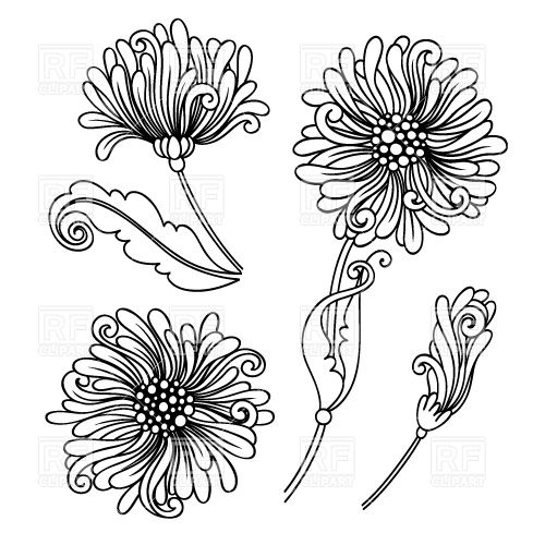 500x500 Outlines Of Buds Of A Chrysanthemum Vector Image Of Plants