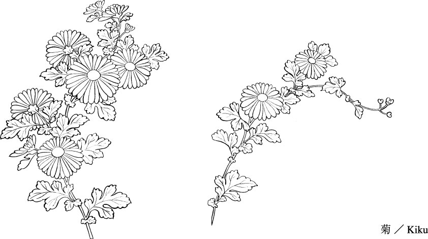 842x470 Line Drawing Of Flowers