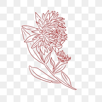 360x360 Chrysanthemum Png, Vector, And Clipart With Transparent