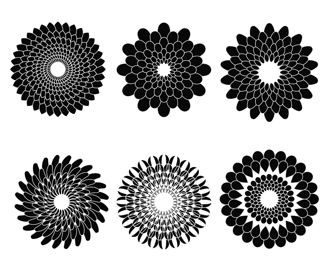 1136x936 Chrysanthemum Silhouette Vector Vector Art Graphics
