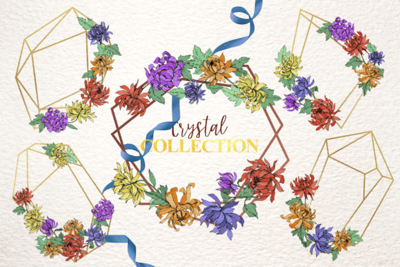 580x387 Chrysanthemum Vector Flowers Graphic