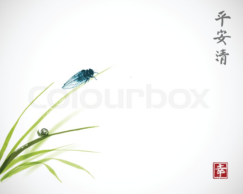 800x638 Cicada And Little Snail On Leaves Of Stock Vector Colourbox