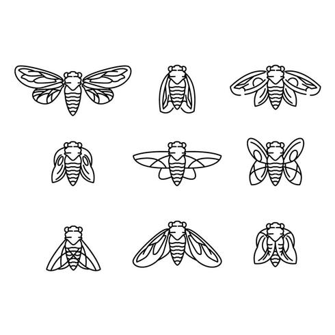 490x490 Fly And Cicada Vector Lineart