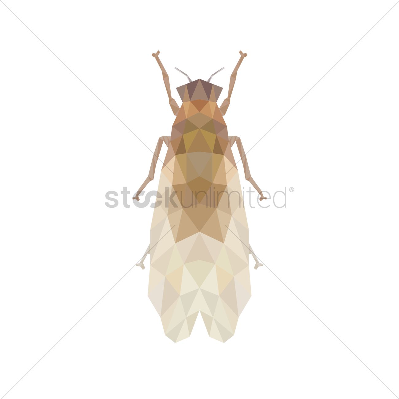 1300x1300 Free Cicada Vector Image
