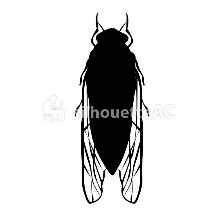 750x749 Free Silhouette Vector Cicadas Up