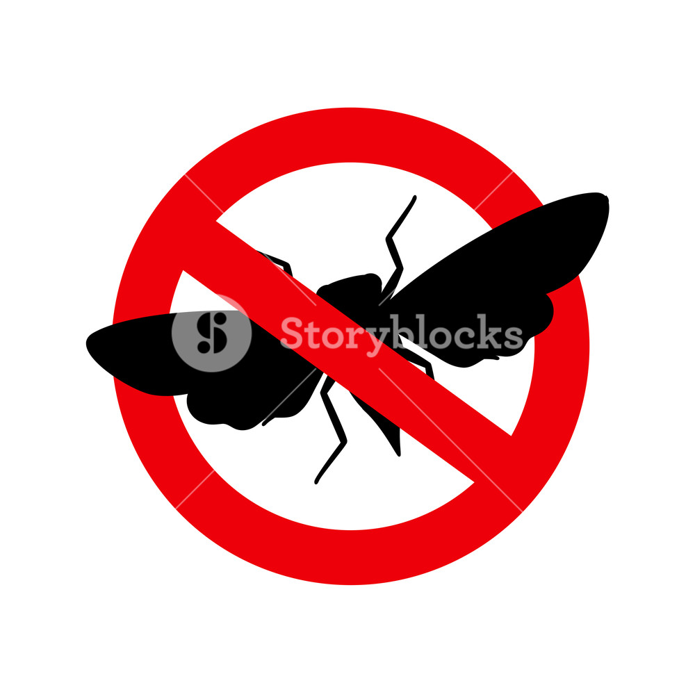 1000x970 Kill Cicada Insect Sign Vector Illustration Royalty Free Stock