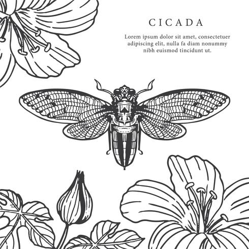 490x490 Cicada Hand Drawn Background Vector