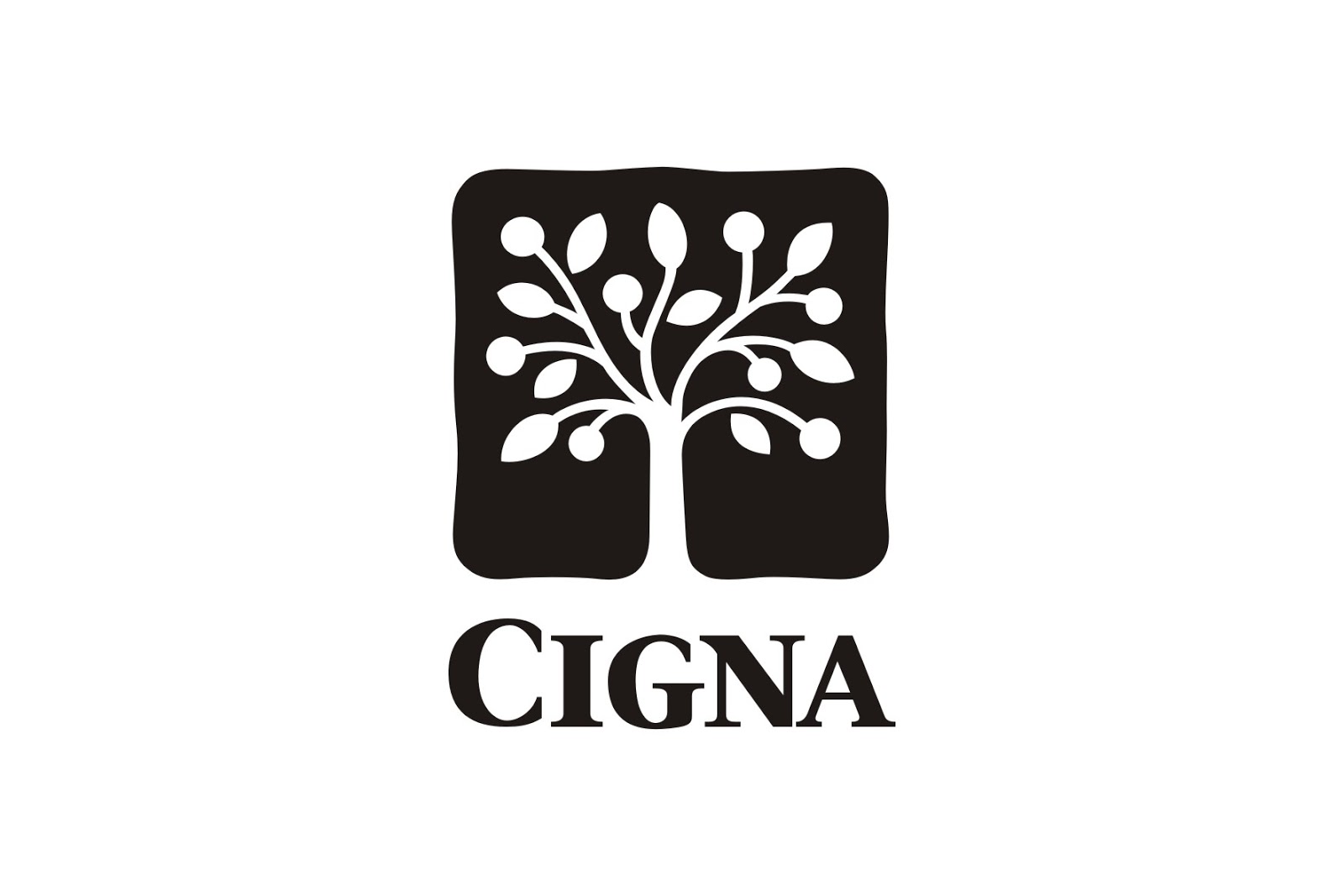 1600x1067 Asuransi Cigna Logo