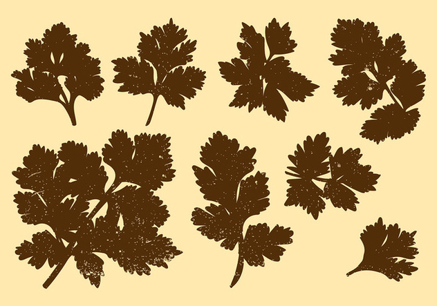 632x443 Cilantro Silhouette Vectors Free Vector Download Cannypic