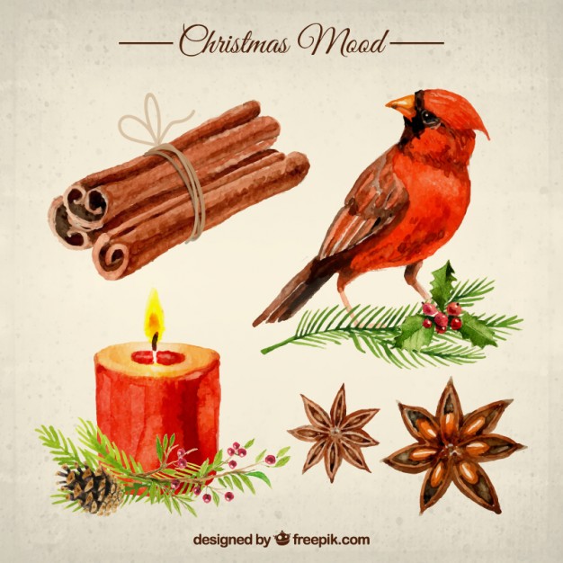 626x626 Cinnamon Vectors, Photos And Free Download