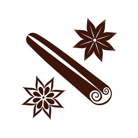450x450 Cinnamon And Star Anise Vector Isolated On White Background