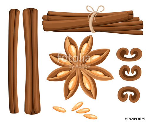500x417 Cinnamon Stick, Star Anise, Anise And Cardamom Vector Isolated