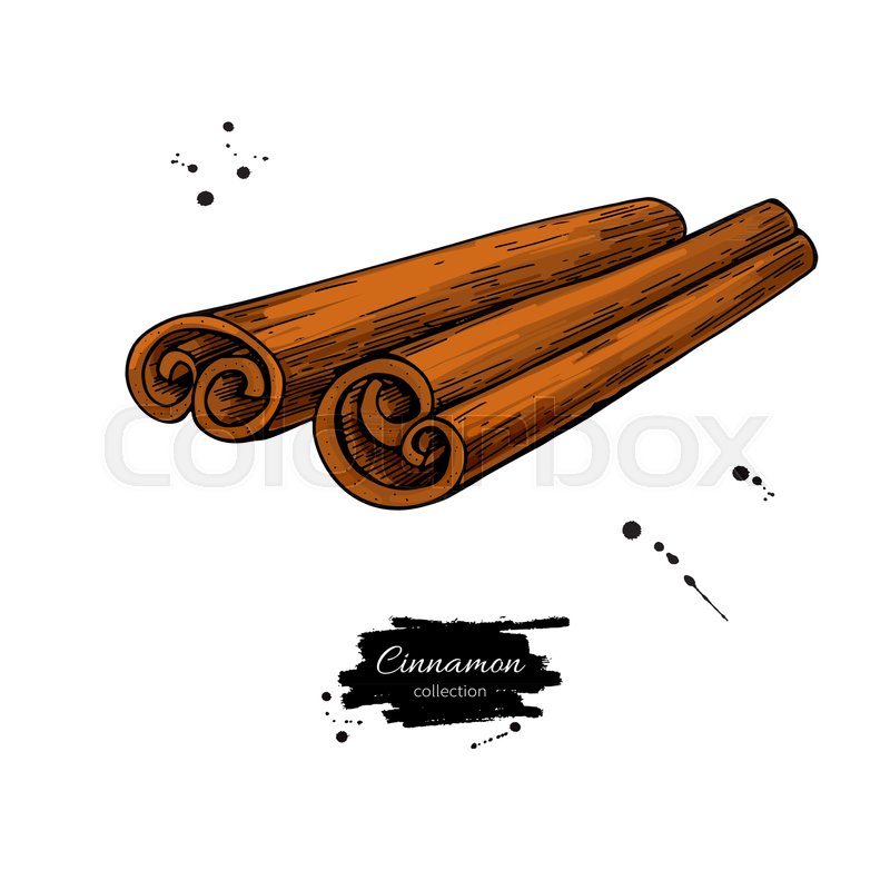 800x800 Cinnamon Stick Vector Drawing Hand Stock Vector Colourbox