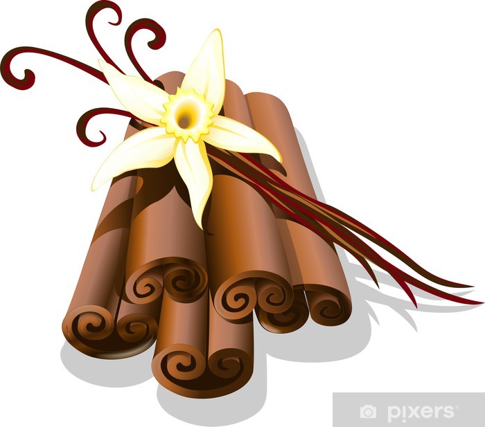 700x617 Vaniglia E Cannella Vanilla And Cinnamon Vector Wall Mural