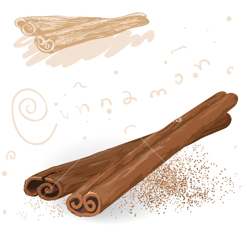 1000x973 Word Spices Cinnamon Vector Royalty Free Stock Image