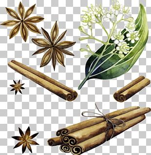 310x318 Cinnamon Vector Png Images, Cinnamon Vector Clipart Free Download