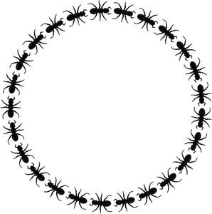 Circle Border Clip Art 298x300 Circle Border Clip Art