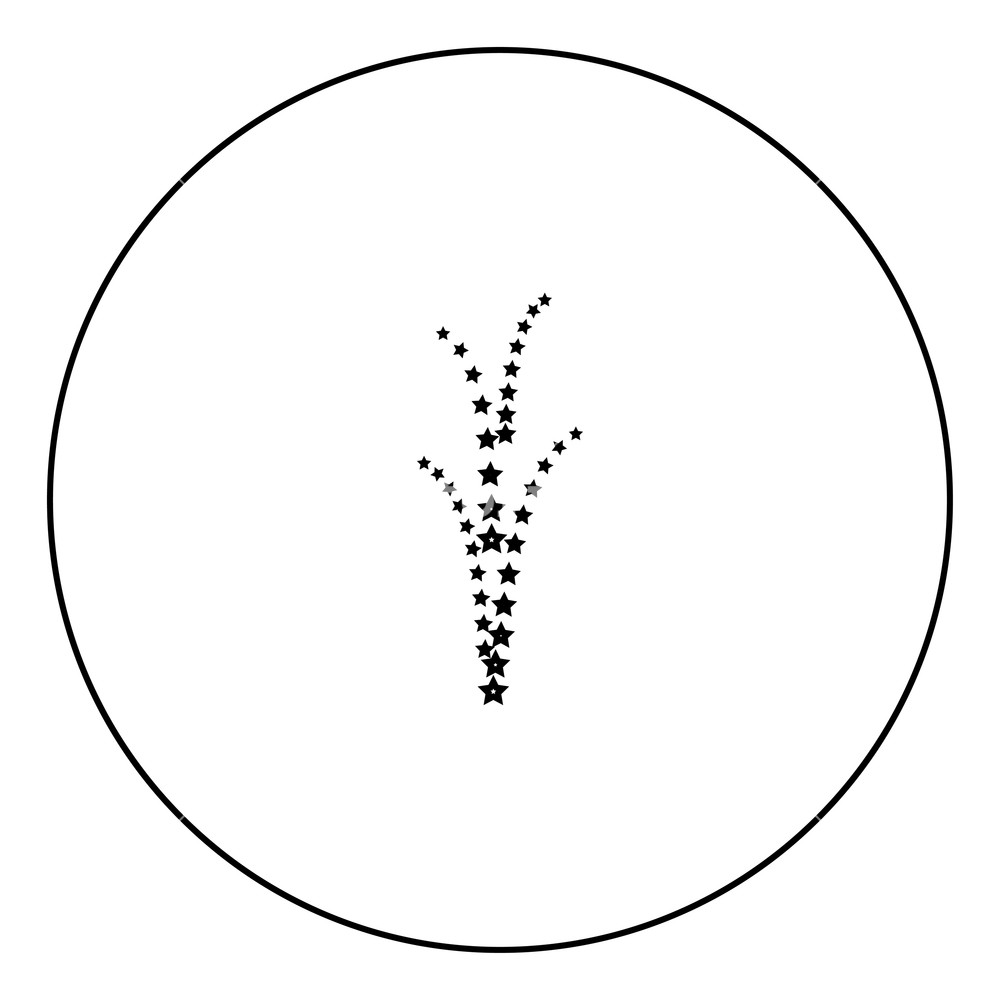 1000x1000 Firework Icon Black Color In Circle Outline Vector Illustration