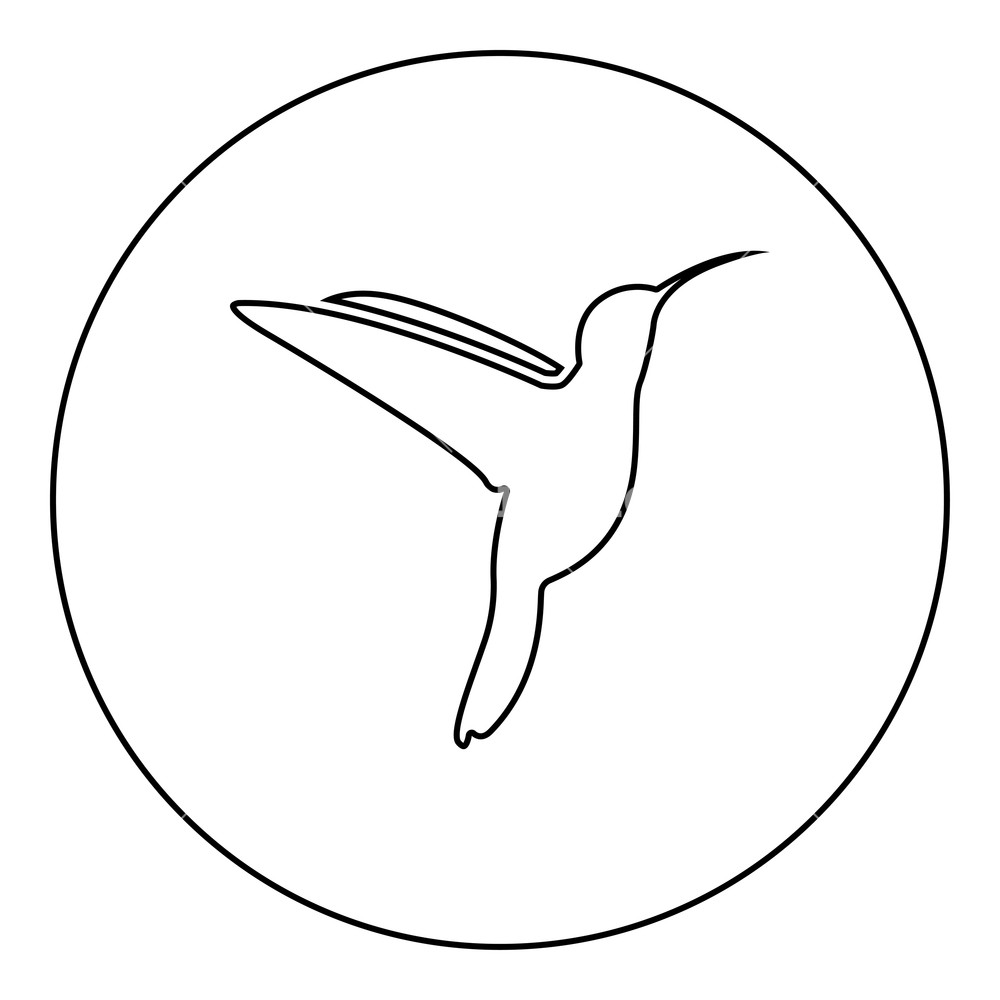 1000x1000 Hummingbird Icon Black Color In Round Circle Outline Vector