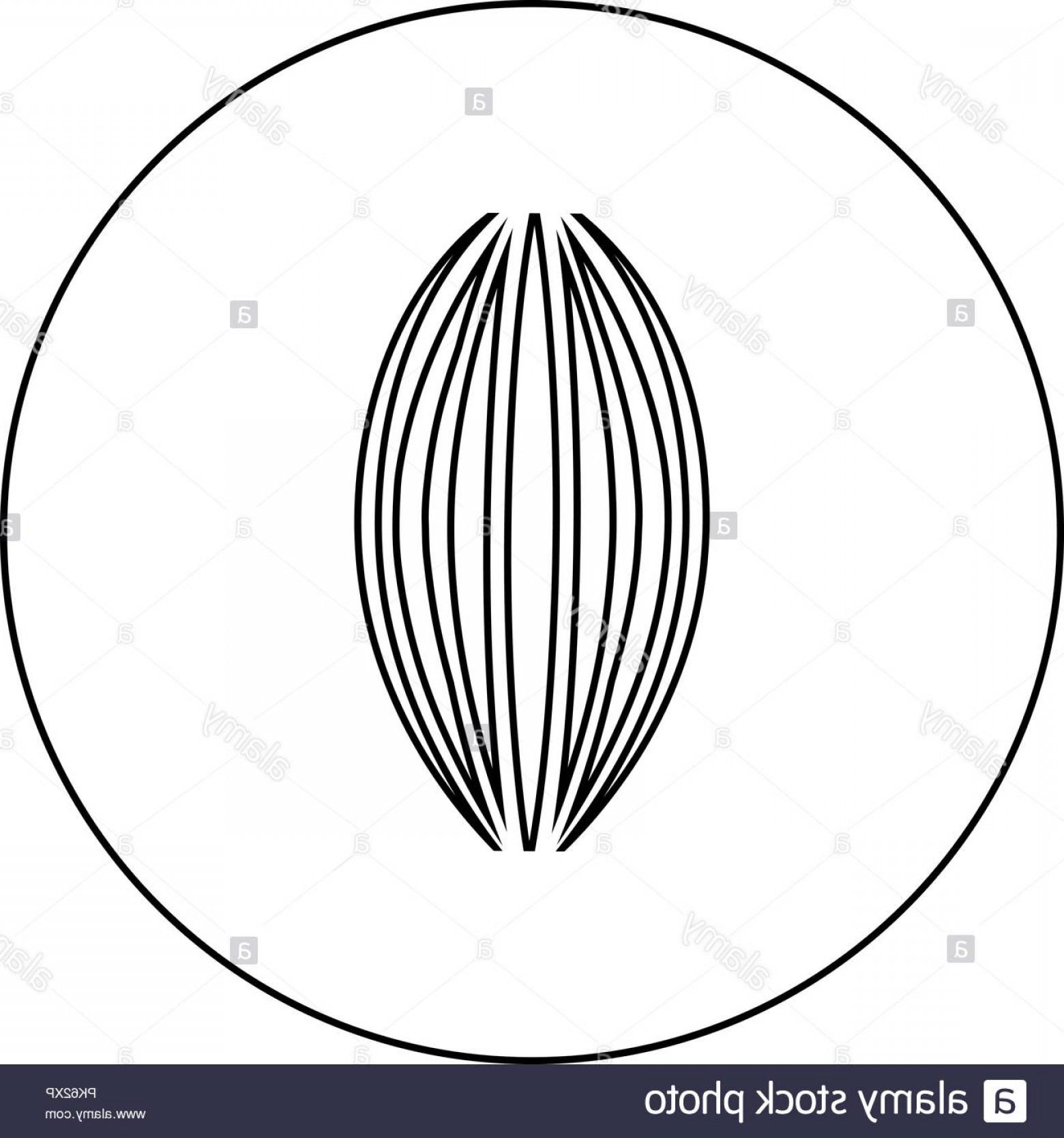 1560x1668 Muscle Icon Black Color In Round Circle Outline Vector I Image