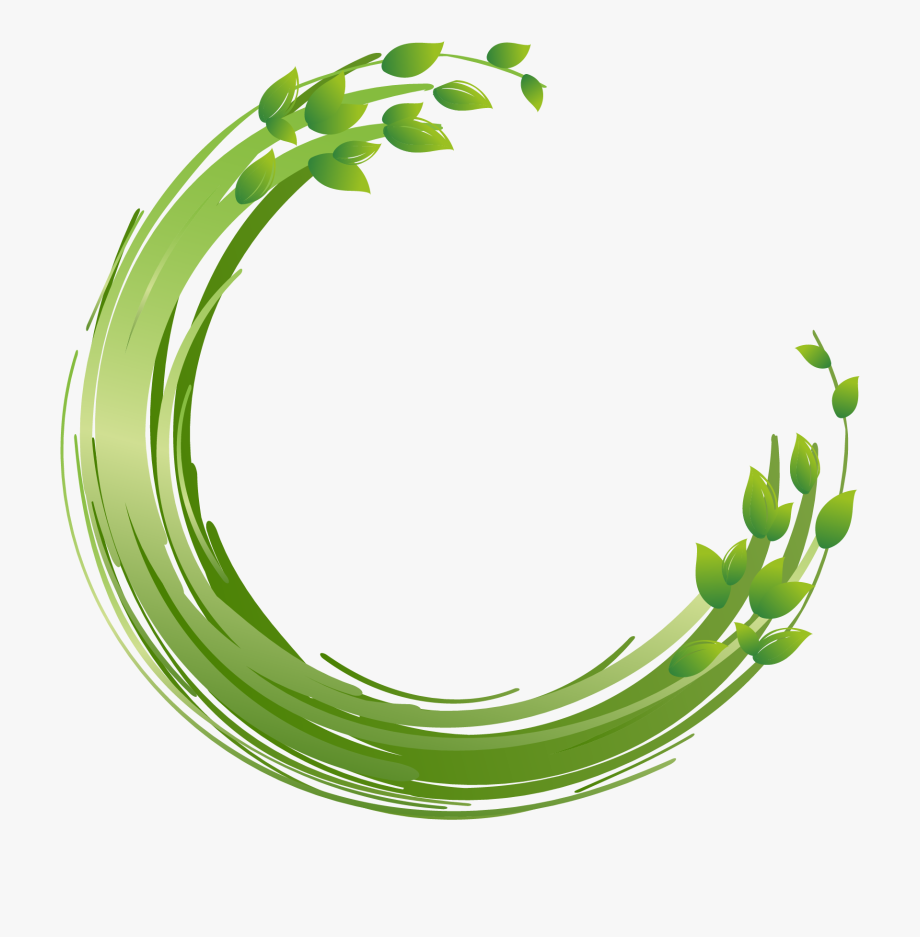 Circle Vector Leaf 920x937 Circle Vector Leaf