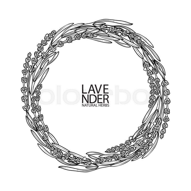 Graphic Lavender Wreath Vector Stock Vector Colourbox 800x800 Graphic Lavender Wreath Vector Stock Vector Colourbox