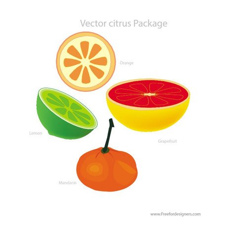 456x456 Free Citrus Fruit Vector Downloads Clipart And Vector Graphics