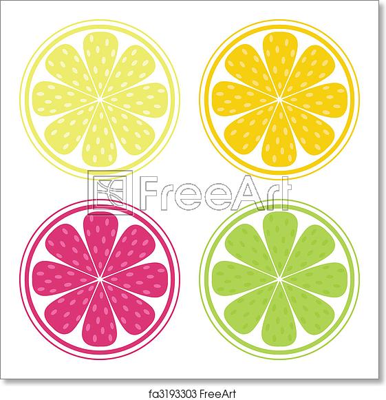 561x581 Free Art Print Of Citrus Fruit Background Vector