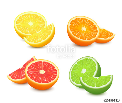 500x422 Fresh Citrus Fruits Set Orange Grapefruit Lemon Lime Isolated