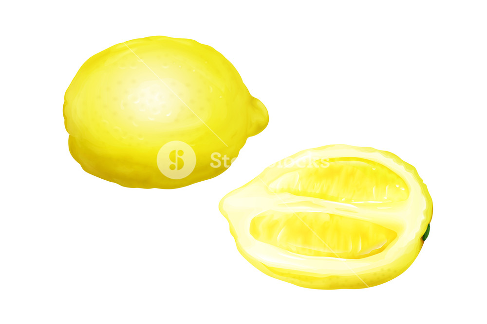 1000x667 Lemon Vector Illustration Of Citrus Fruit Whole And Half Cut