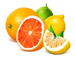 310x244 Vector Citrus Package Free Graphics Uihere