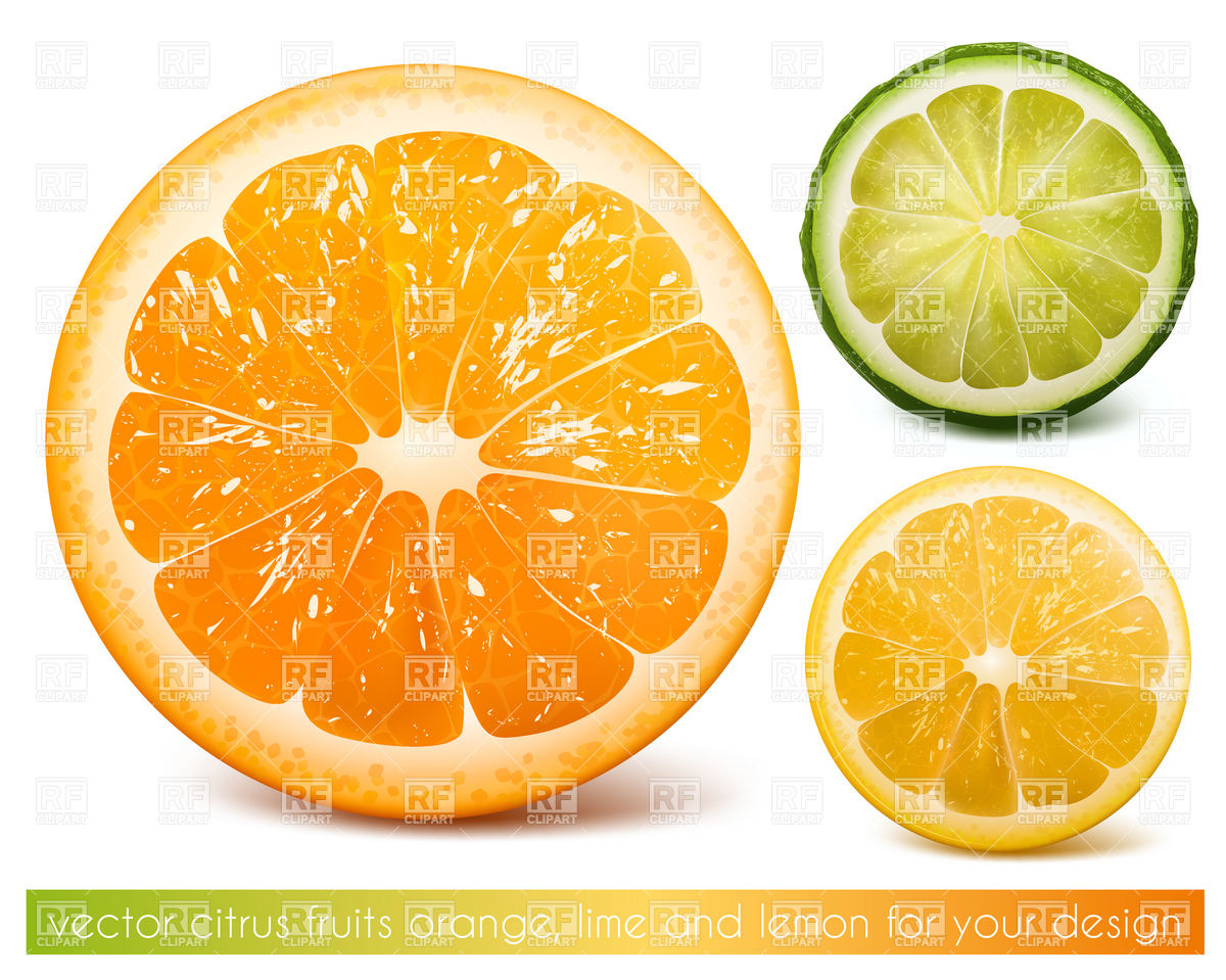 1200x959 Citrus Fruits Cut