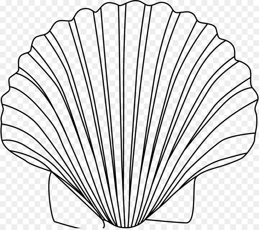 Huge Collection Of 'clam Shell Drawing' Download More Than 900x800 Huge Collection Of 'clam Shell Drawing' Download More Than