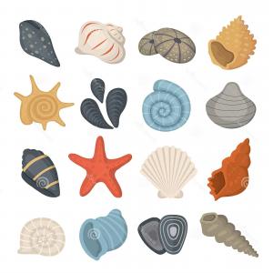 Sea Shell Vector Icons Cartoon Style Set Clam Mollusc Ocean 300x300 Sea Shell Vector Icons Cartoon Style Set Clam Mollusc Ocean