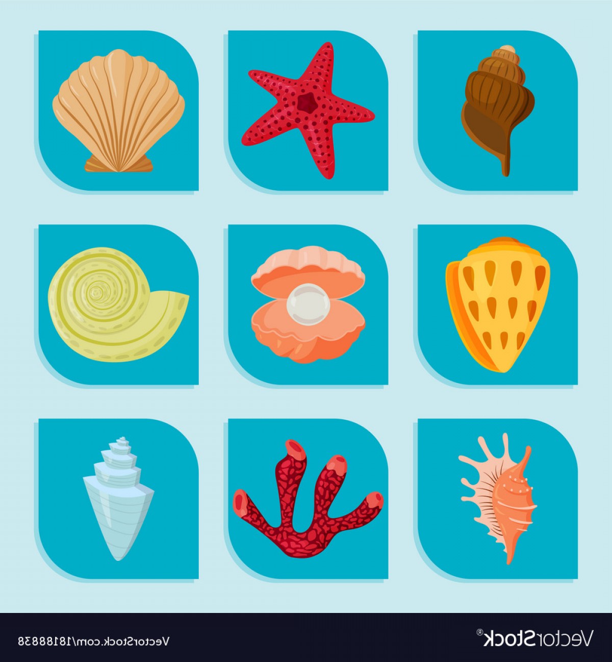 1200x1296 Sea Shells Marine Cartoon Clam Shell And Ocean Vector Soidergi