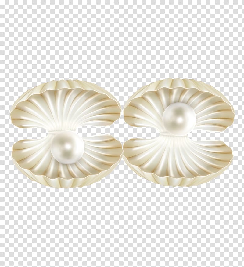 Clam Shell Vector at Vectorified.com | Collection of Clam Shell Vector