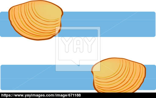 512x323 Clam Shells On Blue Vector