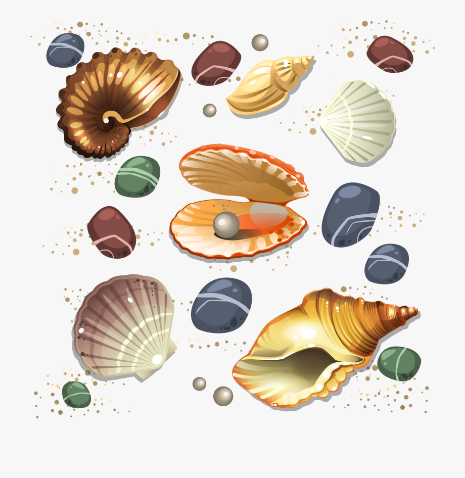 Clam Clipart Pearl Vector 920x946 Clam Clipart Pearl Vector