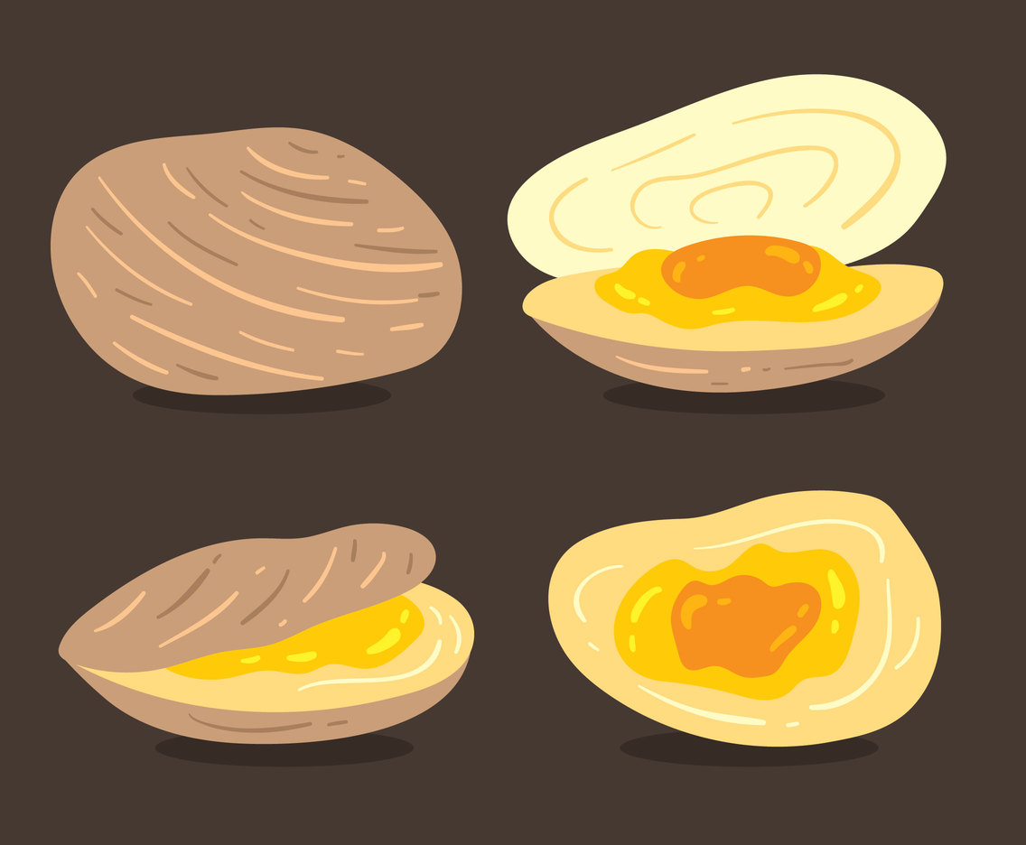 Clam Collection Vector Vector Art Graphics 1136x936 Clam Collection Vector Vector Art Graphics