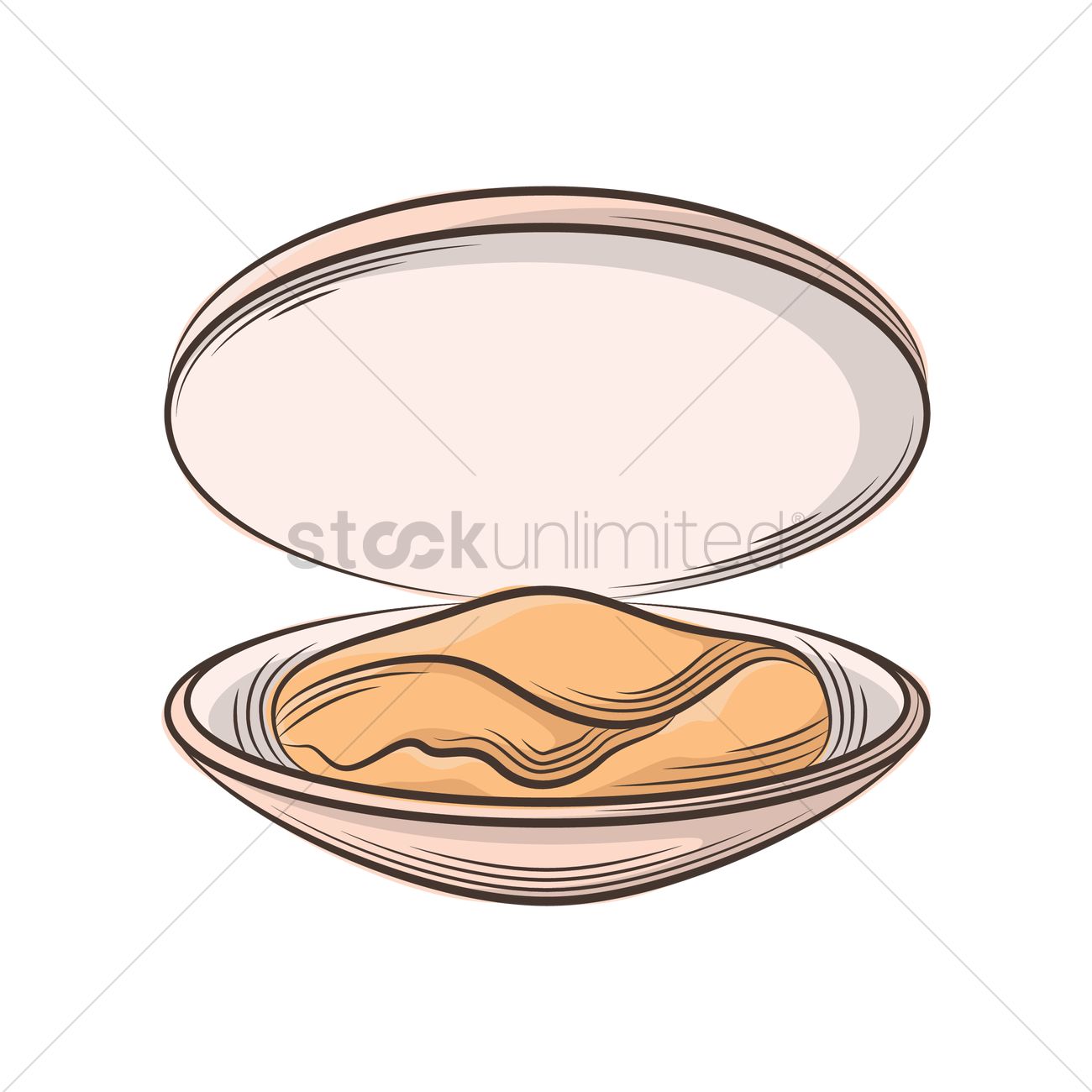 Clam Vector Image 1300x1300 Clam Vector Image