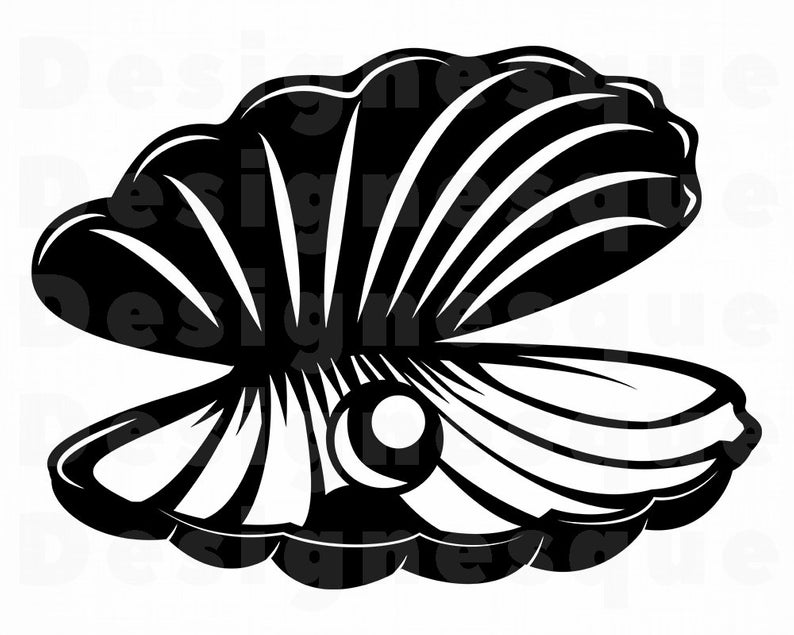 Clam Vector at Vectorified.com | Collection of Clam Vector free for