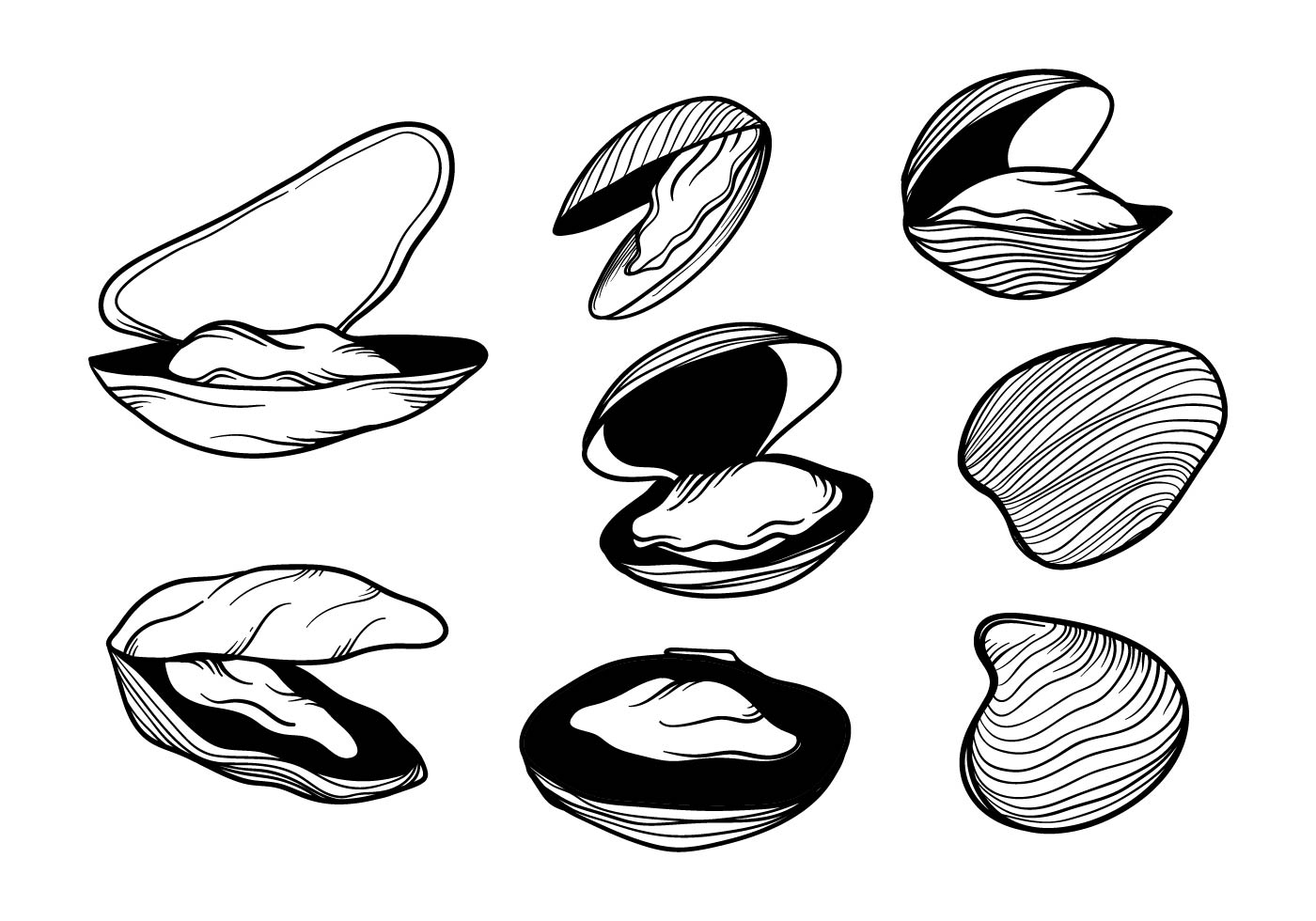 Clams Free Vector Art 1400x980 Clams Free Vector Art