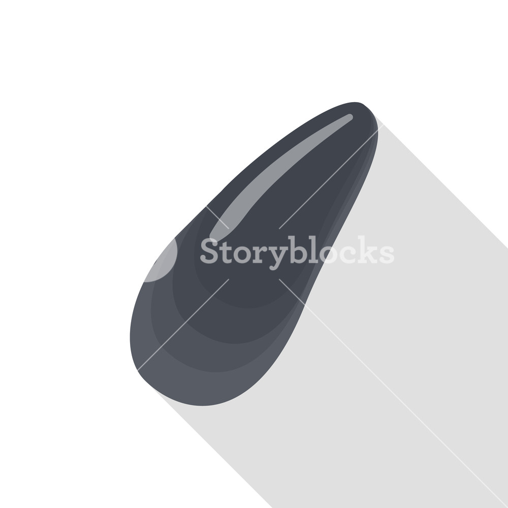 Black Clam Icon Flat Illustration Of Black Clam Vector Icon 1000x1000 Black Clam Icon Flat Illustration Of Black Clam Vector Icon