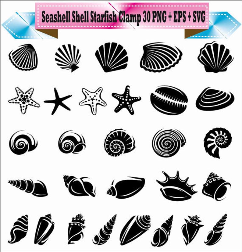 Sea Shell Shellfish Starfish Clam Mussel Silhouette Vector Etsy 794x826 Sea Shell Shellfish Starfish Clam Mussel Silhouette Vector Etsy
