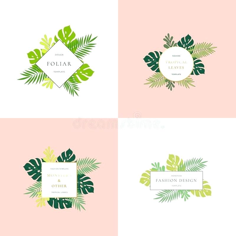 800x800 Tropical Borders Set Of Leaves Fashion Signs Or Logo Templates