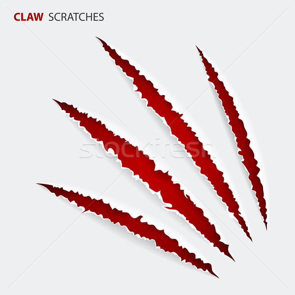 600x600 Claw Marks Stock Vectors, Illustrations And Cliparts Stockfresh