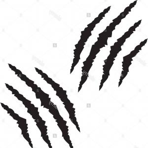 300x300 Stock Photo Claw Scratch Marks Catchsplace