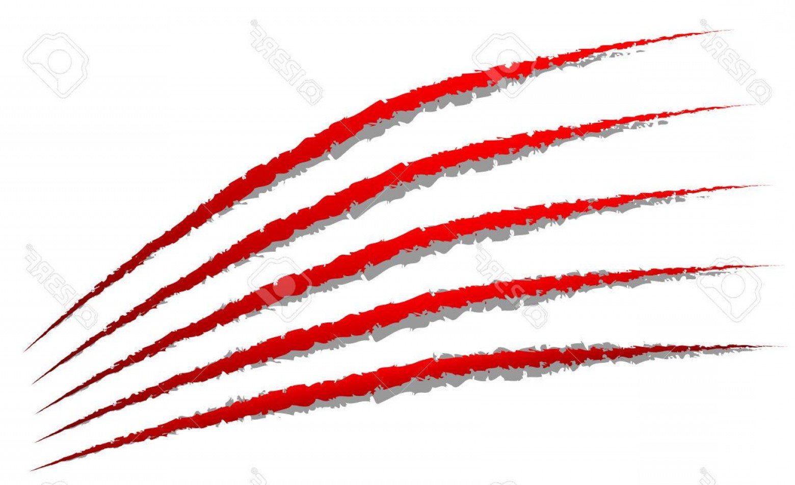 1560x952 Vector Claw Marks Handandbeak